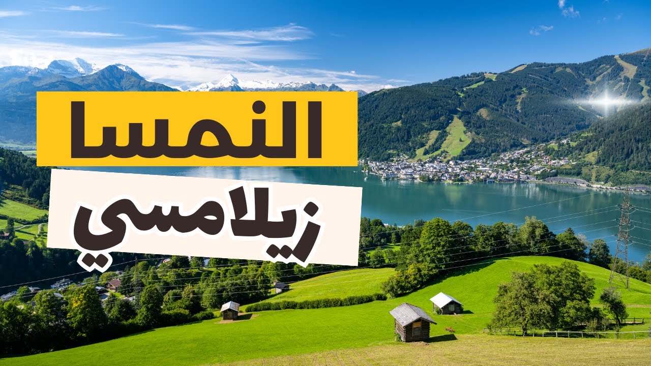 زيلامسي النمسا: تعرف على أجمل 6 معالم سياحية والأنشطة مع أهم 9 معلومات