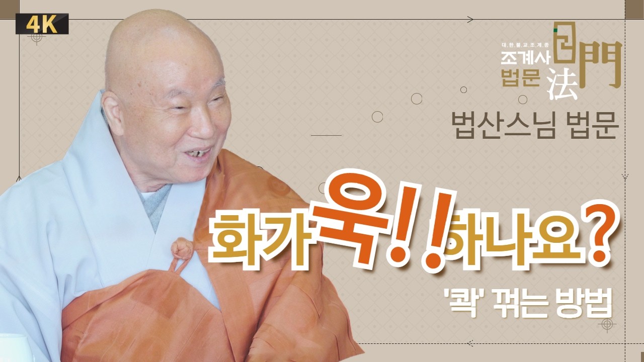 화가 '욱!!' 하나요? #법산스님 #정초기도입재 #법문 #조계사