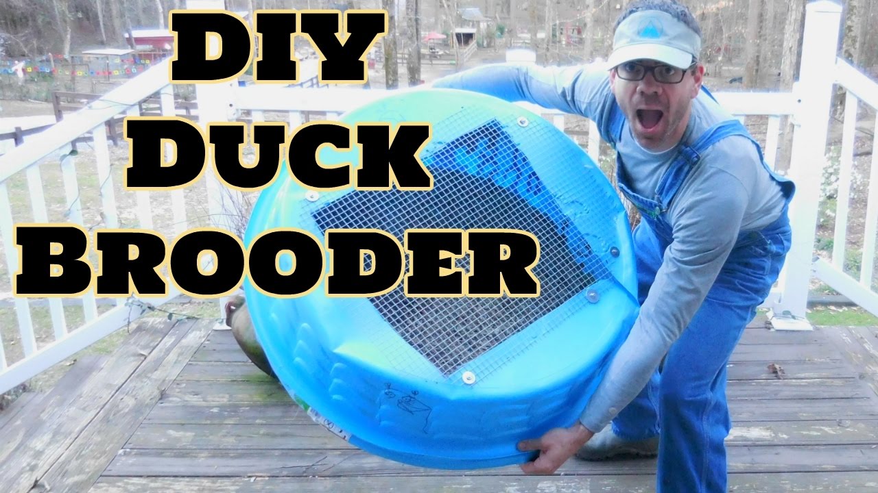 BEST DIY Duck Brooder! EASY TO CLEAN! How To Make a Duck Brooder or Chick Brooder