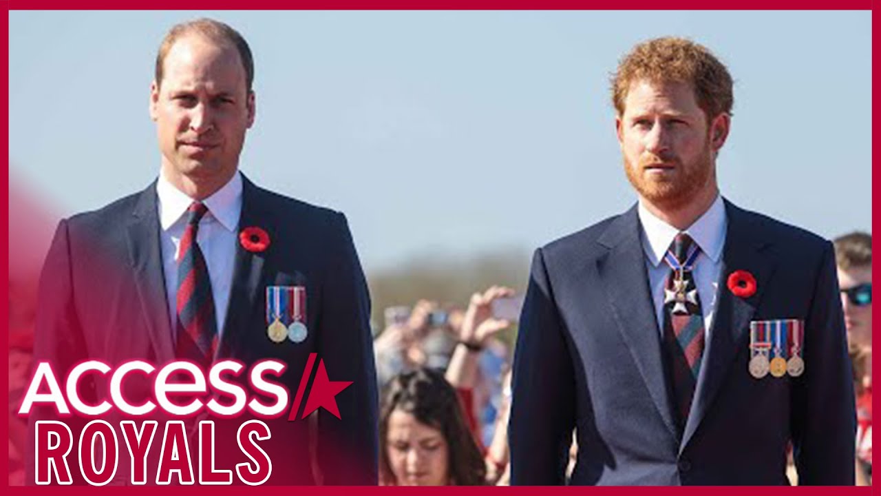 Prince Harry & Prince William To Walk Behind Queen Elizabeth’s Coffin In Procession