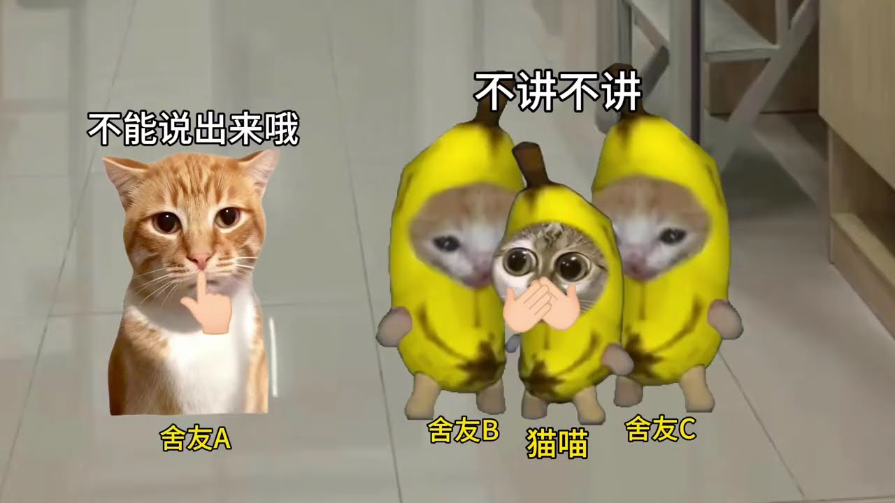 猫meme的日常-进行完神秘仪式不要说出来哦 说出来就不灵验了哦   #猫meme  #猫meme小剧场 #猫meme剧场 #内容过于真实 #搞笑