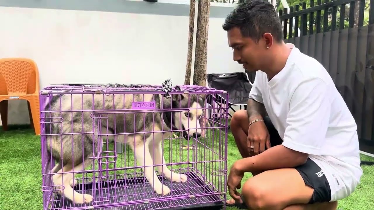 AKHIRNYA ANJING GALAK INI BISA DIJINAKKAN ‼️