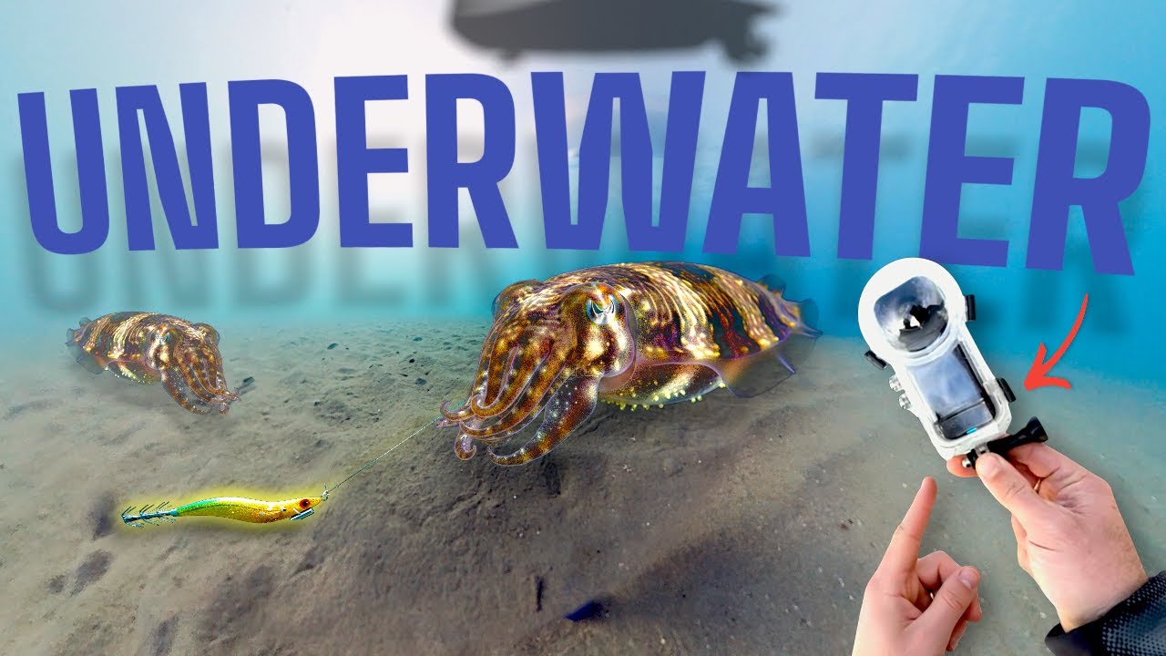 Come reagiscono le Seppie ai nostri Egi! Riprese Underwater con Camera 360🦑🎣