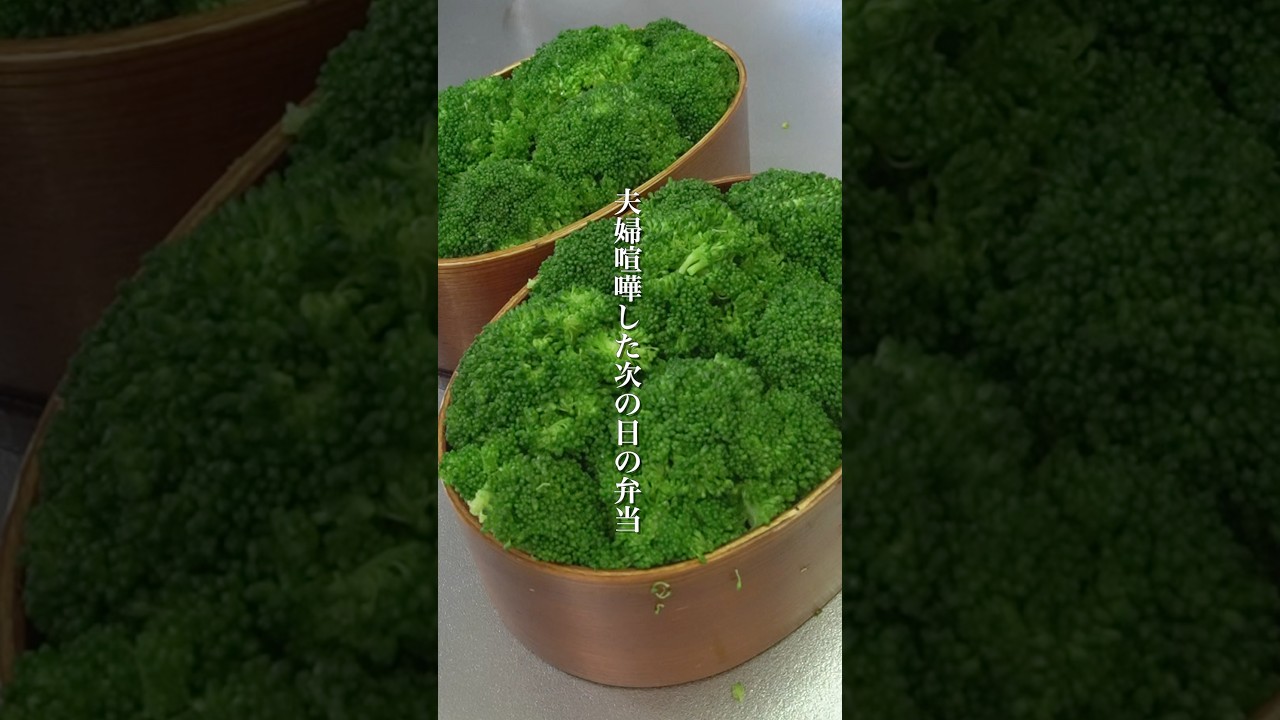 夫婦喧嘩した次の日の弁当【ブロッコリー弁当】