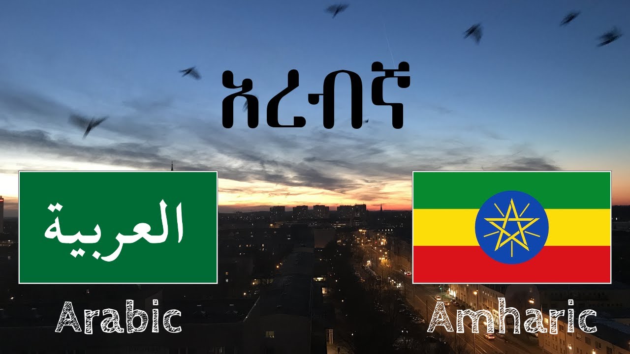 ከመተኛትዎ በፊት ይማሩ - አረብኛ (ተወላጅ ተናጋሪ)  - ያለ ሙዚቃ