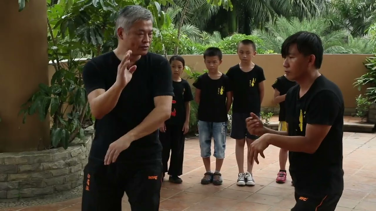 Pak Mei Kung Fu