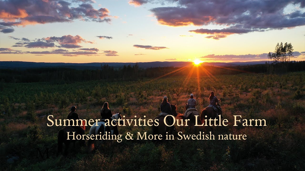Summer holidays - Our Little Farm