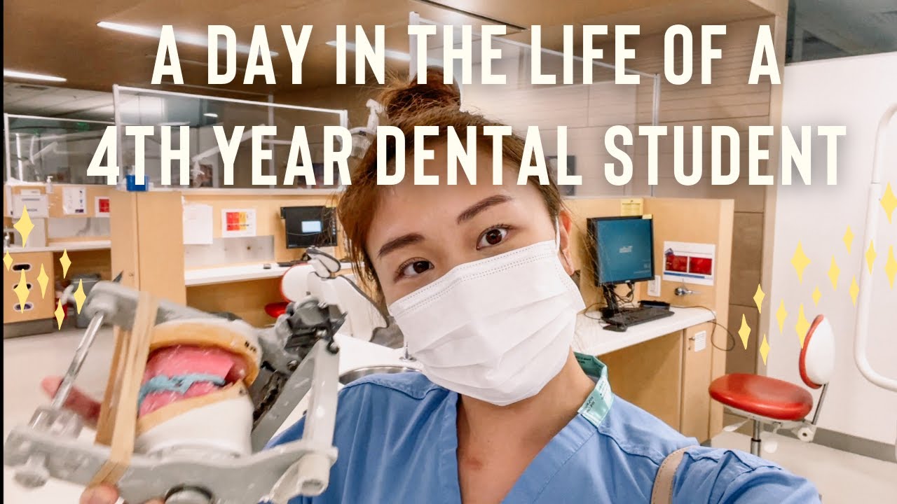 Day in the life of a 4th year dental student in Boston & running into J Bro in NYC // 미국치대생 일상