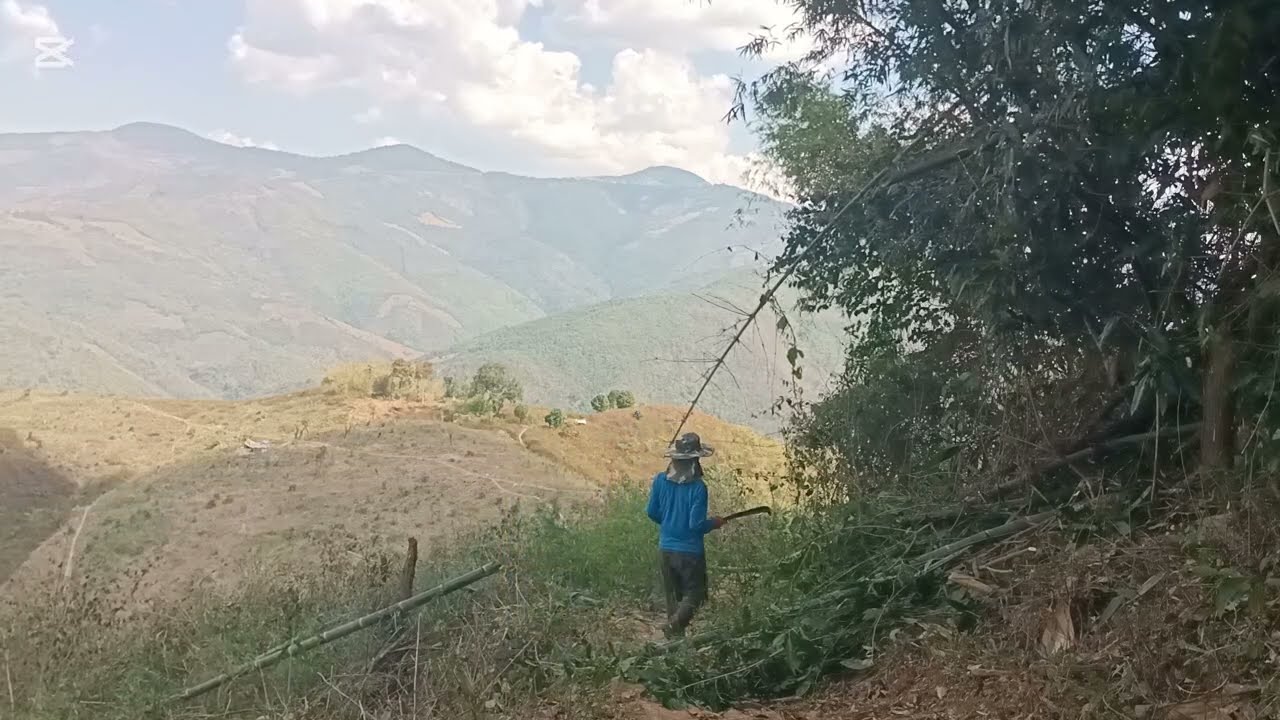 Pobzeb tseem niaj hnub luaj teb li qub