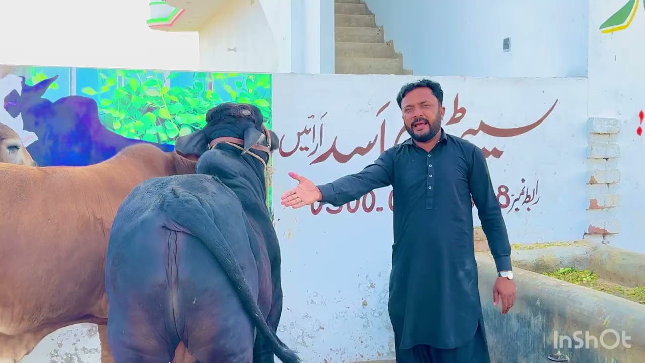 Karachi Mandi🥰||Maler 15❤️||King of Multan Mandi 