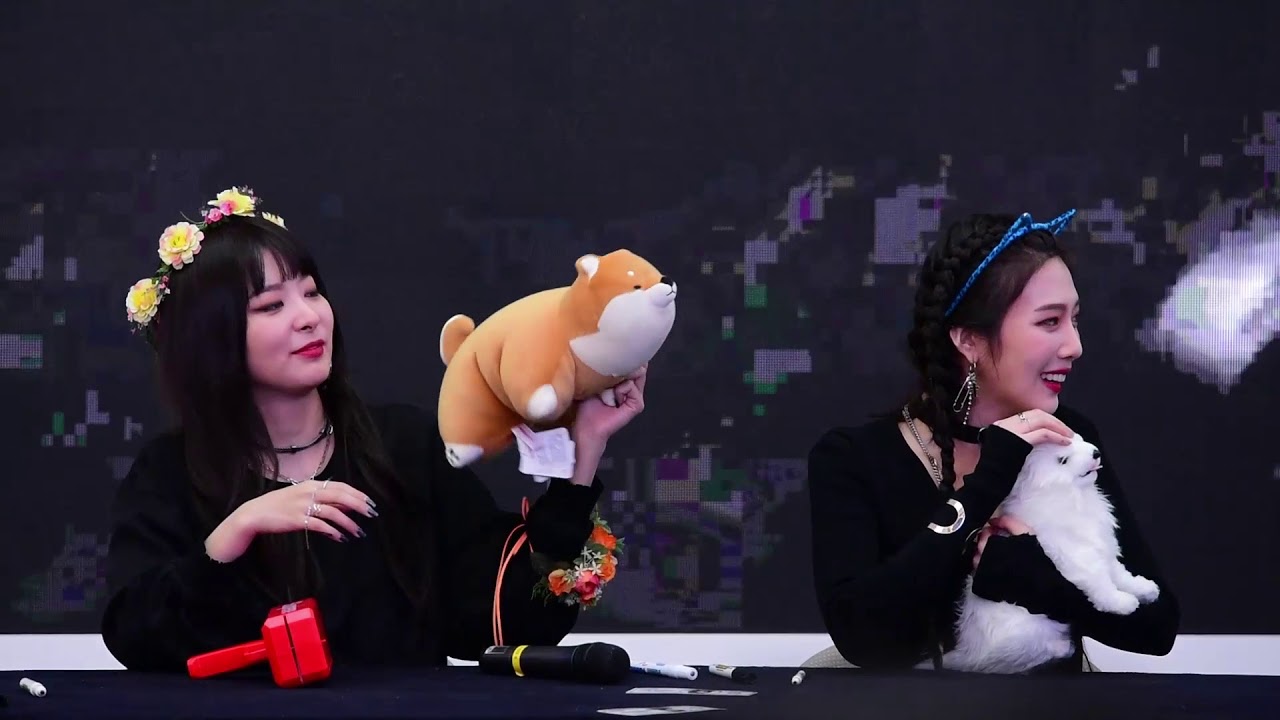 180204 스타필드 고양 레드벨벳 팬싸인회 직캠 : 레드벨벳 슬기, 조이