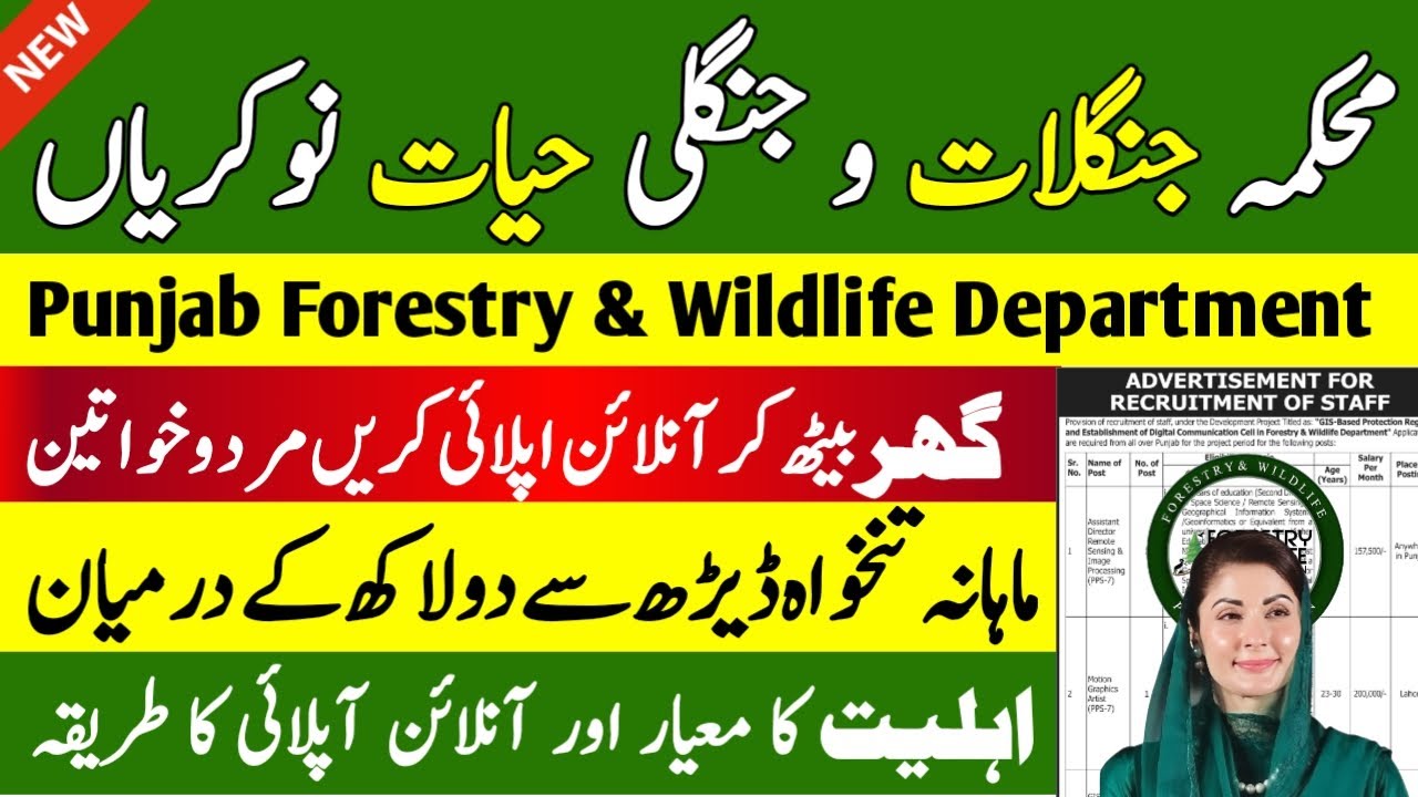 Punjab Forest Department Jobs 2026 | Punjab Wildlife Department Online Apply | Jobs in Punjab 2026