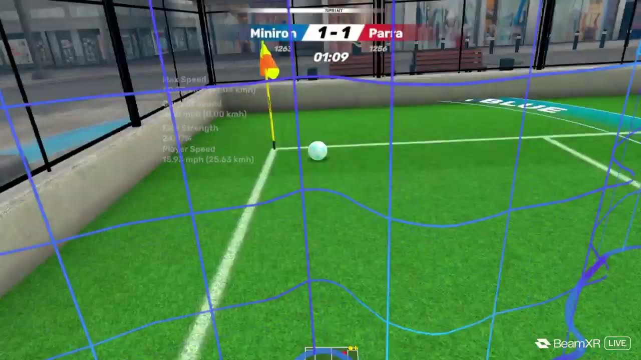 playing vrfs