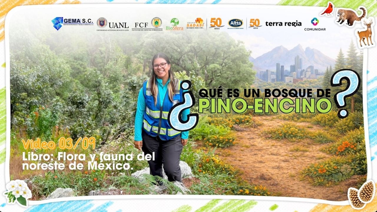 03/09 ¿Qué es un bosque de pino-encino? | Flora y Fauna del Noreste de México