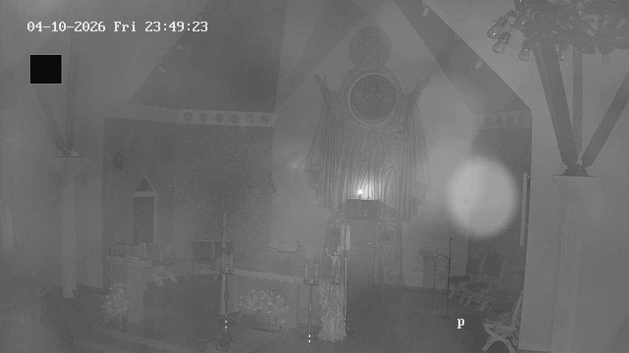 Parafia Niepokalanego Poczęcia NMP w Grzybnie – transmisja na żywo