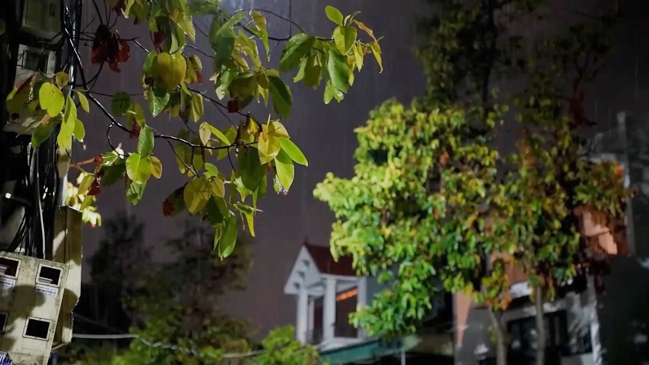 The streams and rain in the valley, sleep, relax, meditate, study, work, ASMR