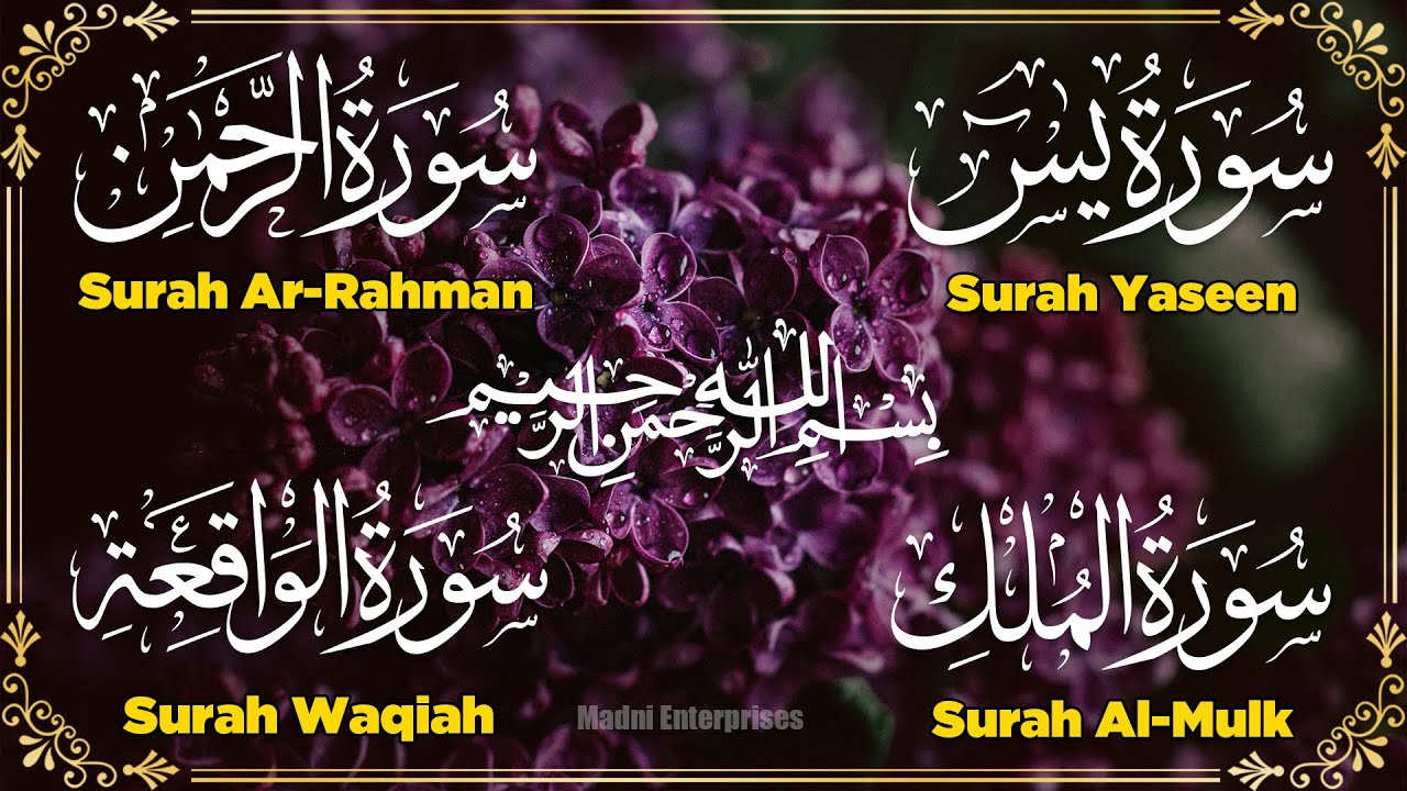 Most Beautiful Surah Yaseen (Yasin) | Surah Rahman | Surah Waqiah | Surah Mulk |