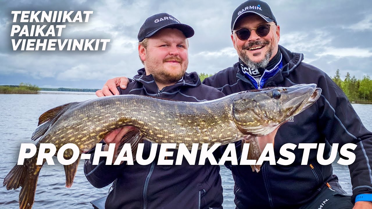 Näin kalastetaan isoja haukia nykyään – Haukigurut Heinonen & Karonen kertovat