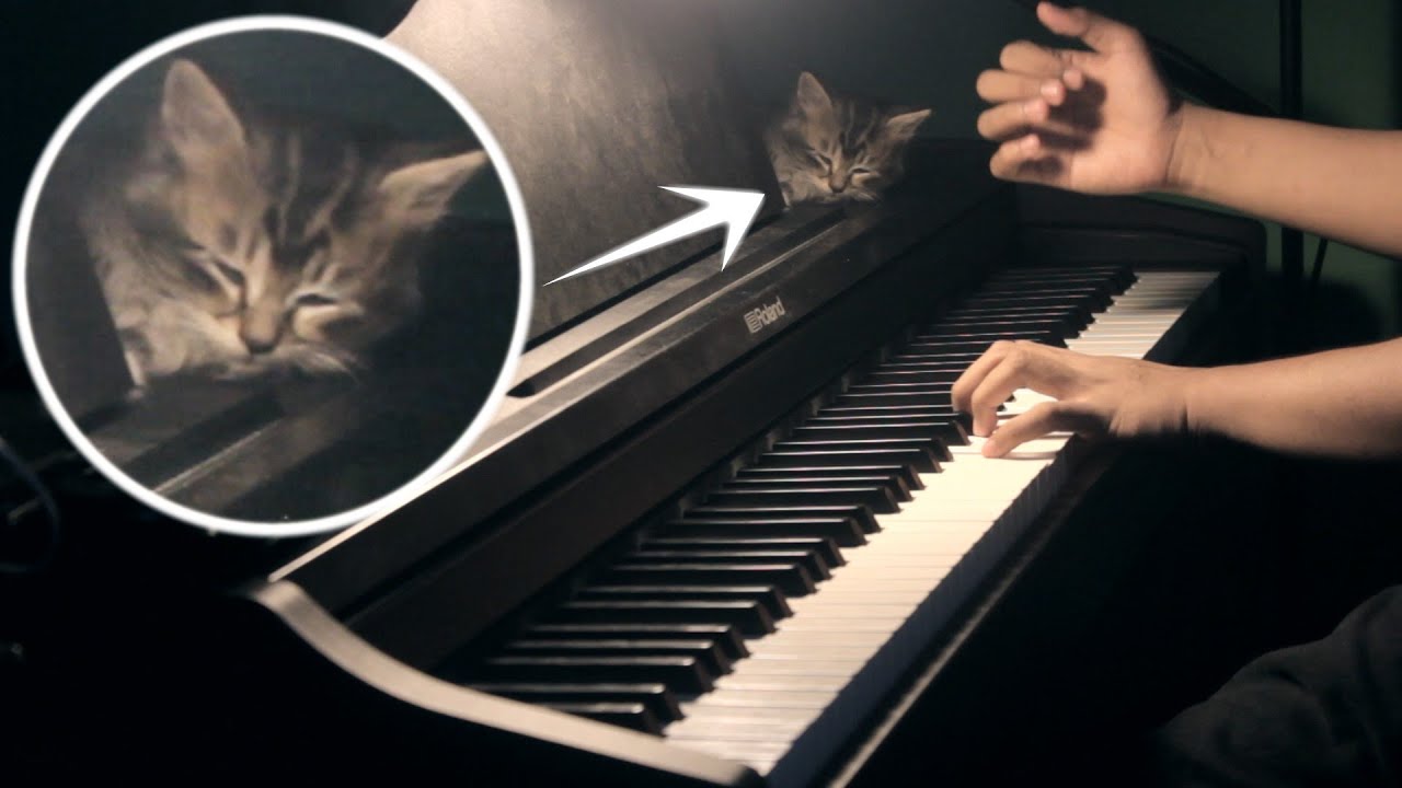 Aimer - Choucho Musubi ft. My Cat [PIANO]