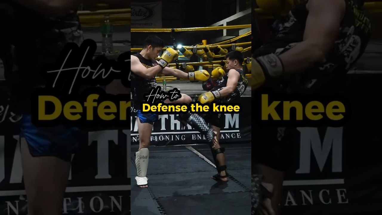 how to defense the knee. no clinch 