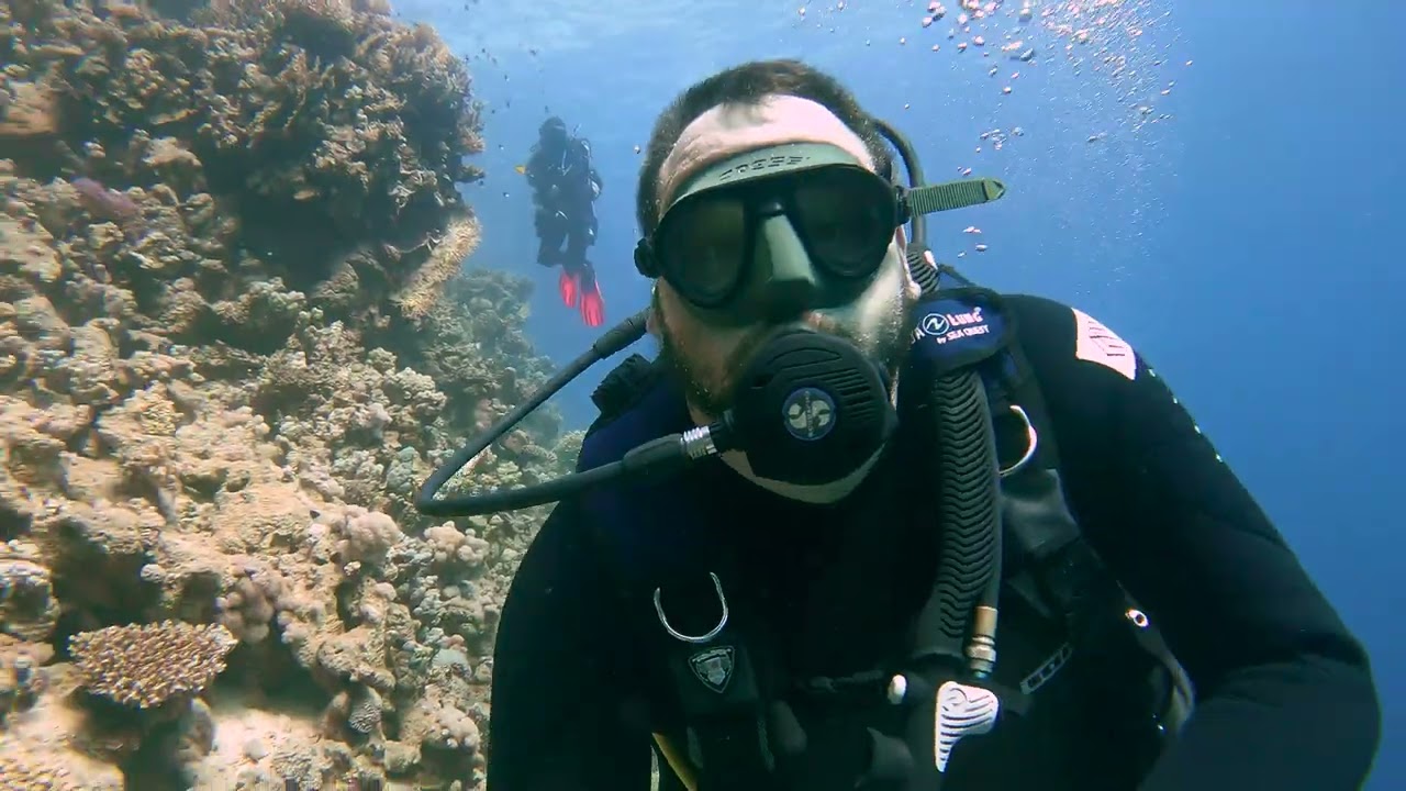 Scuba Diving Hurghada | Stone Beach 26.01.22  (January 2022) (4k UHD)