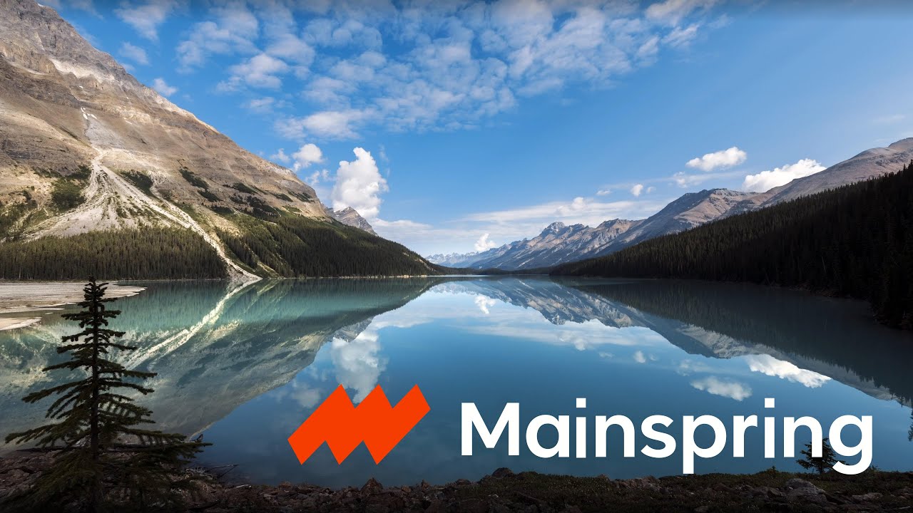 Mainspring Vision