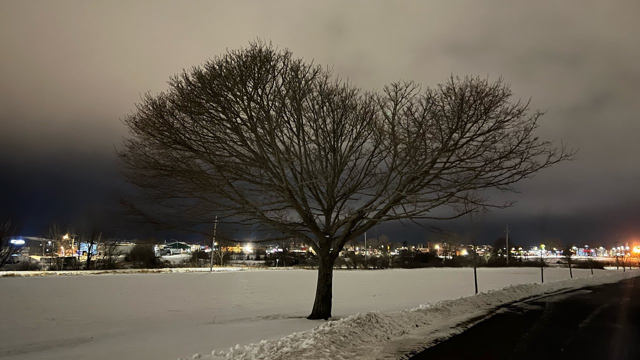 Snow covered Charlottetown, Prince Edward Island