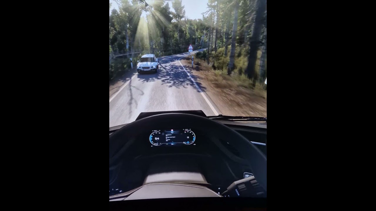 🌄 ETS2 | 🌲Realistic Morning Drive🌲| RPM Map 1:1 #eurotrucksimulator2 #ets2 #ets2mods #gaming