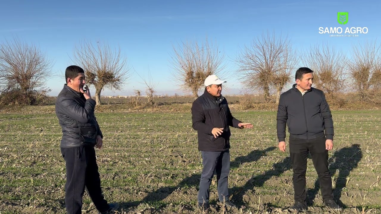 Bug&rsquo;doy hosildorligini oshirishda foydali maslahatlar 