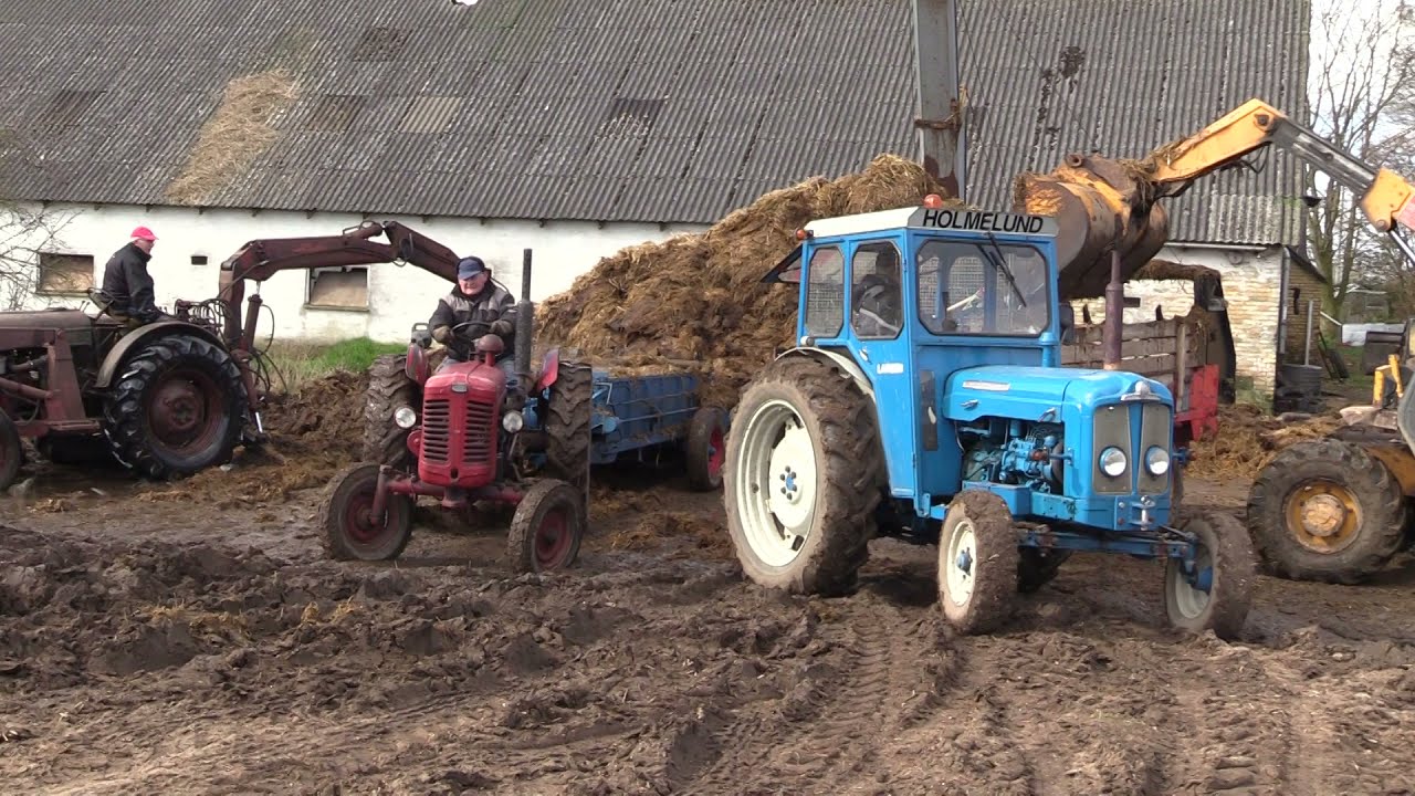 Pløjning kørsel af møg  2021 Motor Veterantraktor Klubben Fyn strib