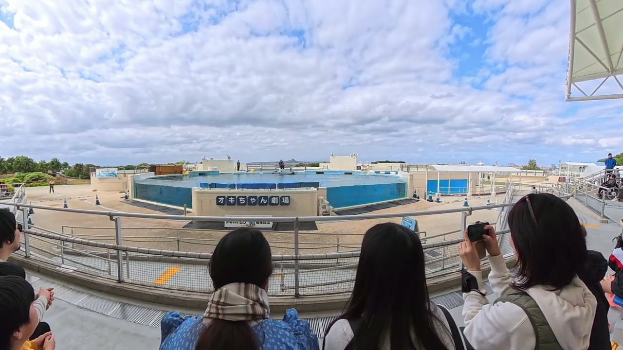 美麗海水族館海豚表演