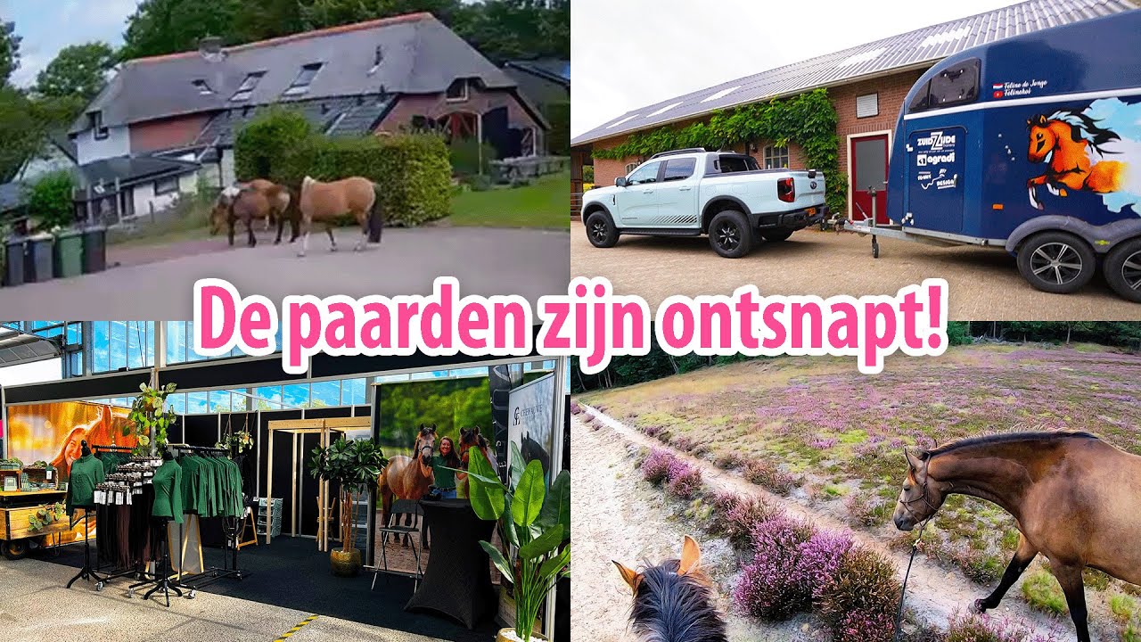 Nieuwe PICKUP ophalen, paarden op de weg en opbouwen op Horse Event!