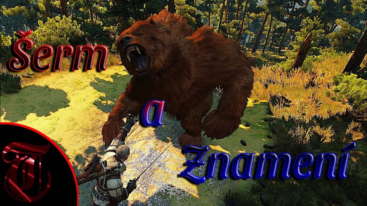 Witcher 3 Build | Combat & Sign | Šerm a Znamení | Pochod Smrti