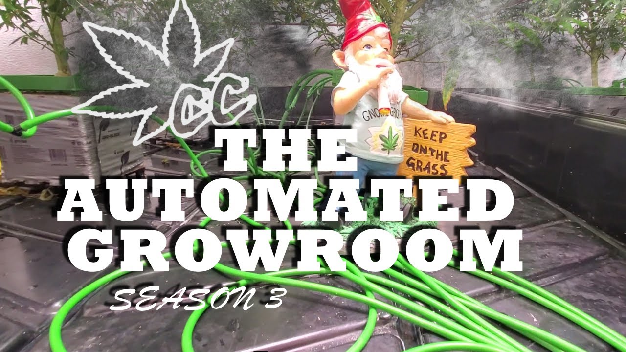 Season 3 - Back In the Automated Growroom