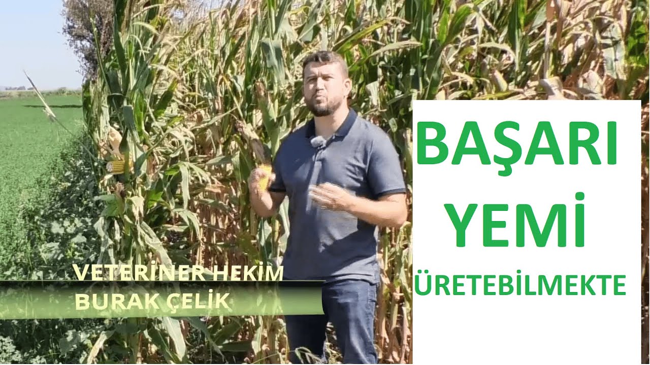 YEMİ KENDİNİZ YAPABİLİRSİNİZ ( Kesif Yemin Özellikleri )