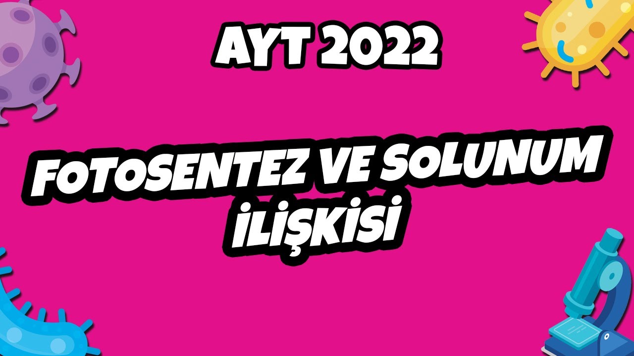 AYT Biyoloji - Fotosentez ve Solunum İlişkisi | AYT Biyoloji 2022 #hedefekoş