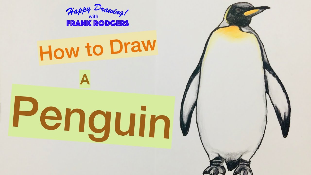 How to Draw a PENGUIN. Sketching Birds No 2. Happy Drawing! with Frank Rodgers