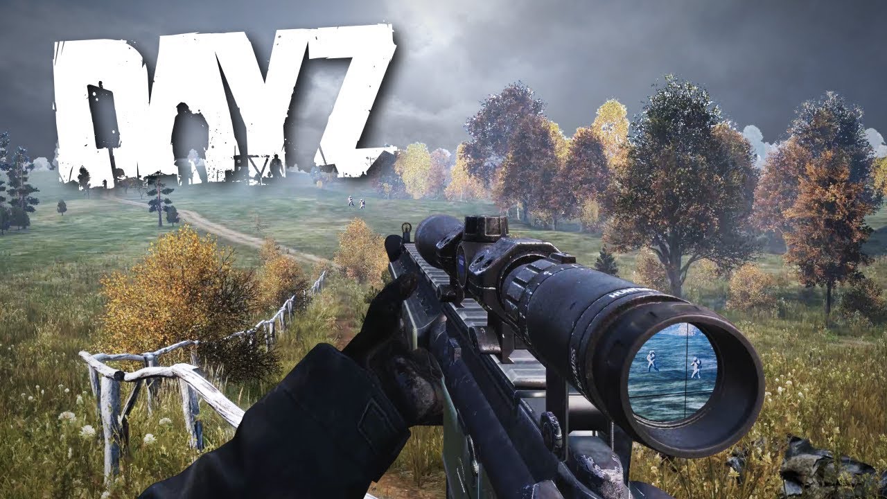 Overwatch by a Guardian Sniper... - DayZ