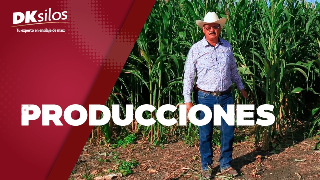 DKsilos - Testimonio - Rancho la To&ntilde;ita | Candelaria, Campeche.