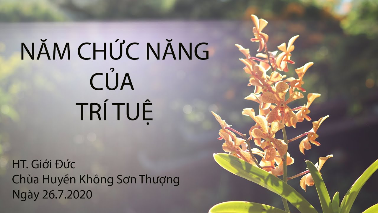 Năm Chức Năng Của Trí Tuệ | HT. Giới Đức | Ngày 26/7/2020