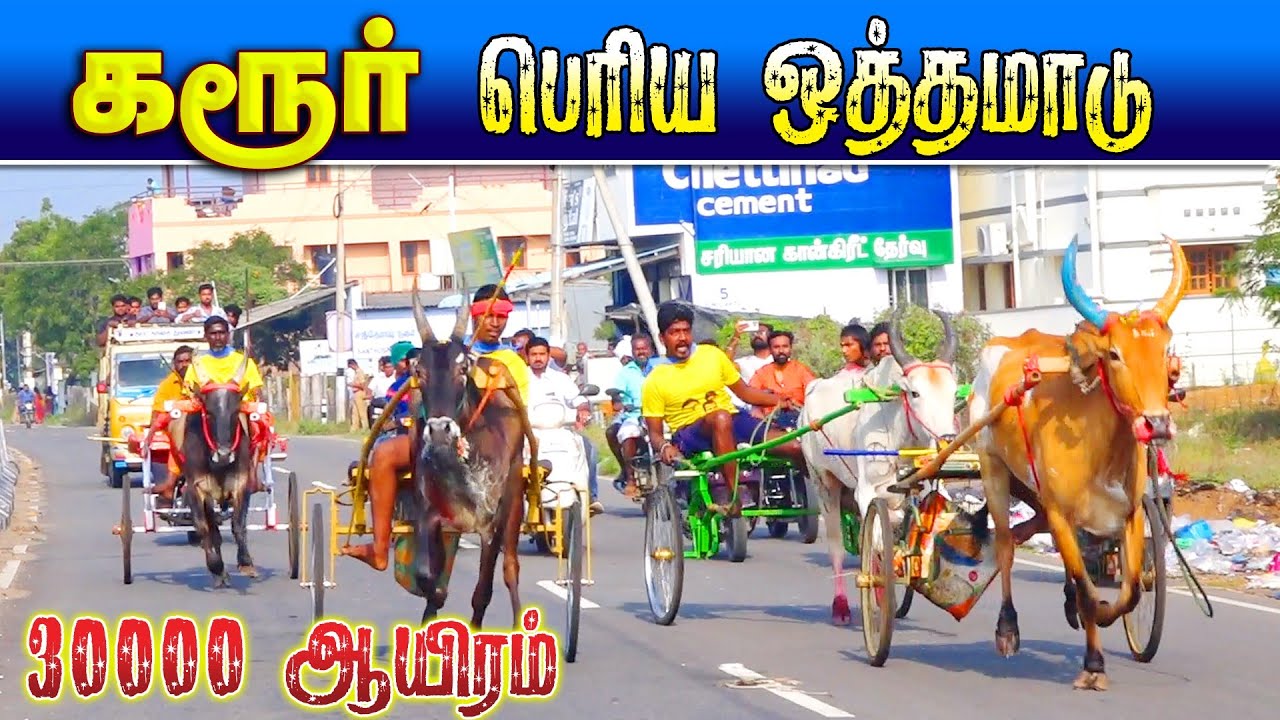 கரூர் மாவட்டம் பெரிய ஒத்த மாடு 18/01/2026 