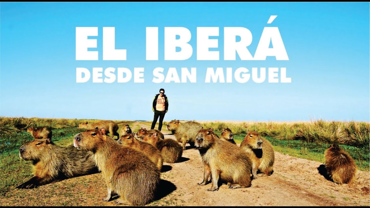 ESTEROS DEL IBERA DESDE SAN MIGUEL, CORRIENTES
