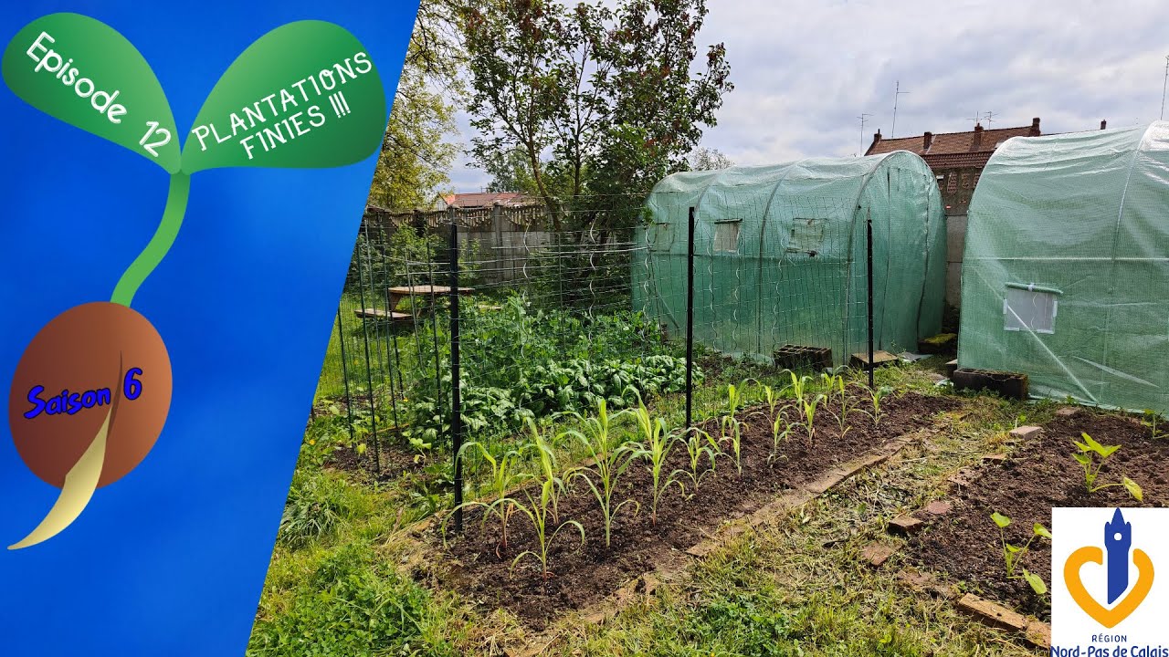 🍆S6 - Episode 12 : 15 Mai, plantations finies !!!🍅