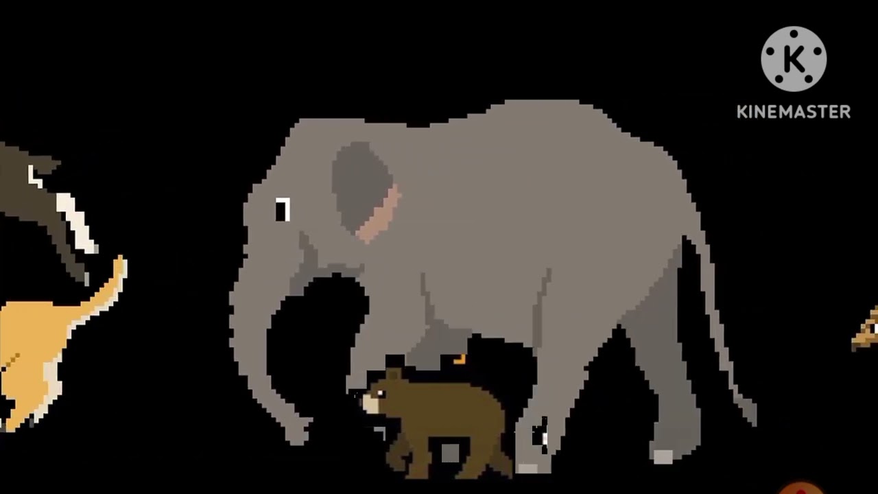 Indian Mammals