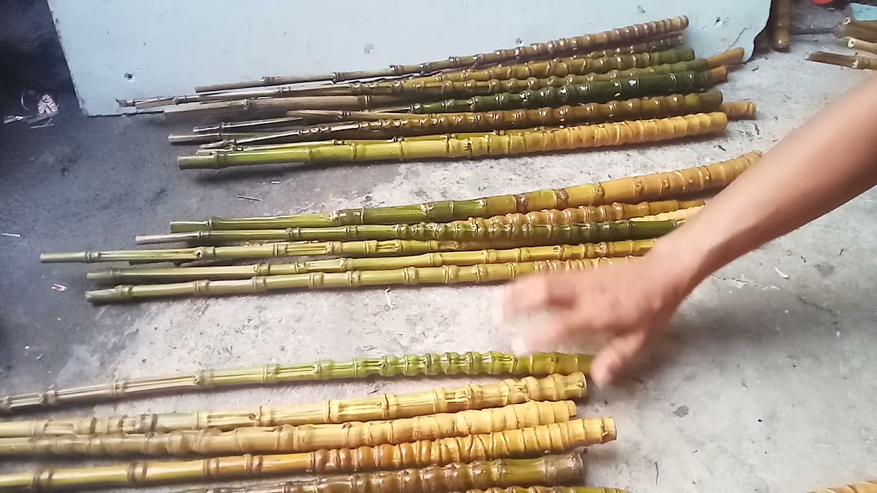 cara memilih bambu cendani, biar  bisa mengukur ketahanan dan kekuatan ketika digunakan