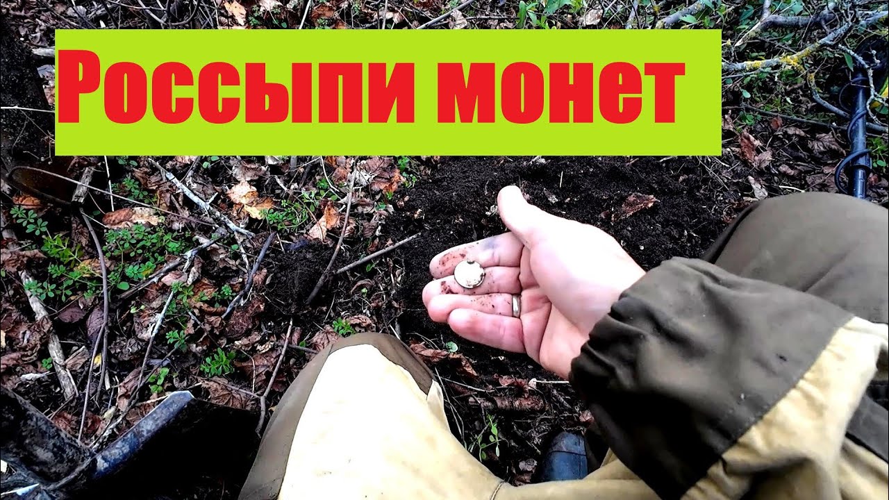 Собираю монеты в лесопосадке 