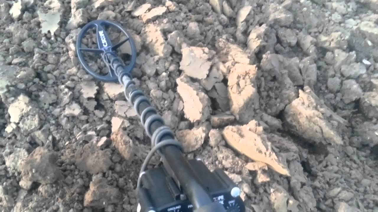 1st Time with CSCOPE 6MXI it finds hammered - Evening Hunt