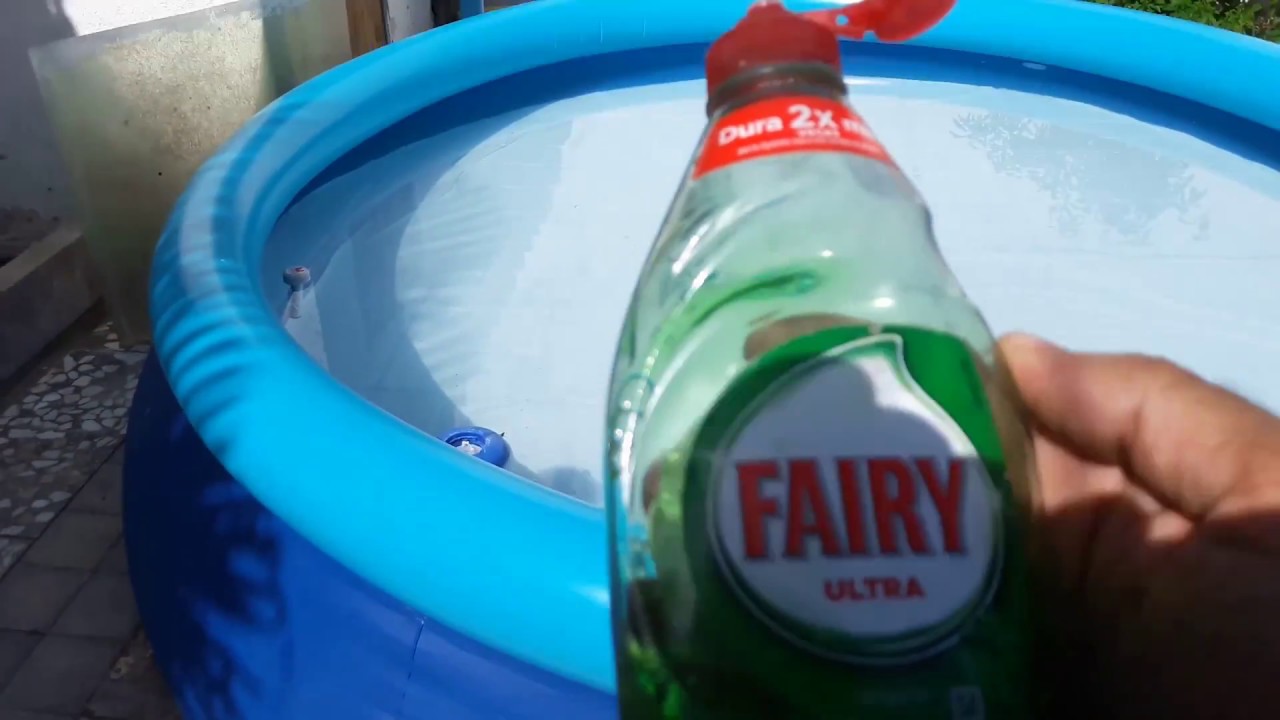 ***Solución AVISPAS en nuestra piscina***