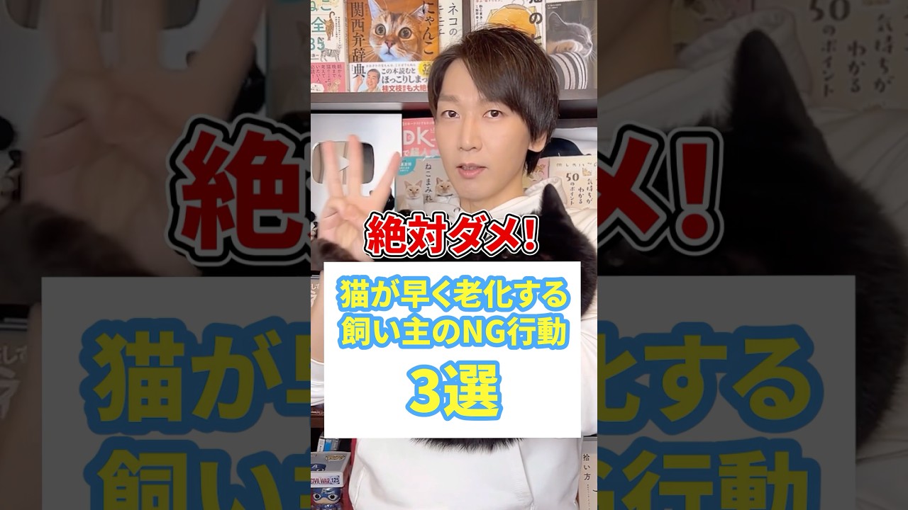 絶対ダメ！猫が早く老化する飼い主のNG行動３選 