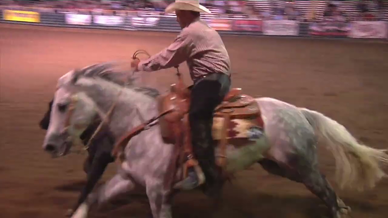 All around Cowboys Cal Expo. Beef.